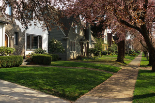 Main Photo